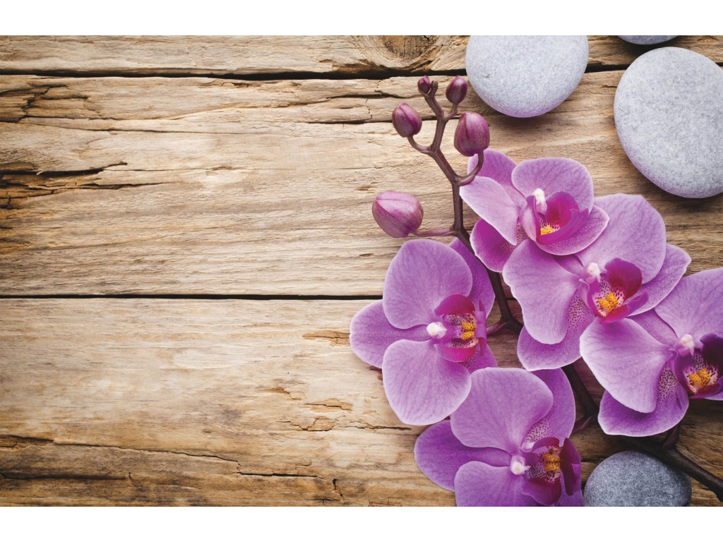PROHOME - Předložka koupelnová 45x70cm Orchidea