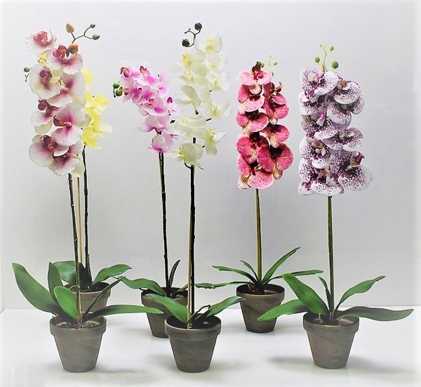 PROHOME - Orchidea umelá 63cm různé druhy